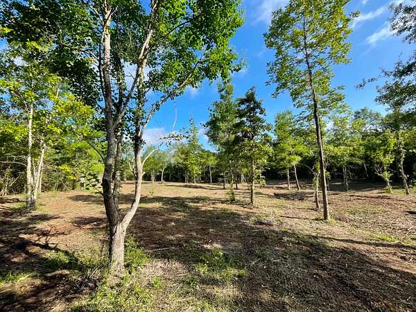 6.64 Acres of Land for Sale in Camden, Texas