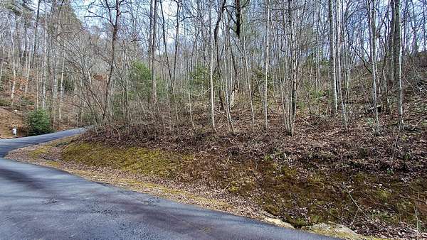 1 Acre of Residential Land for Sale in Sylva, North Carolina