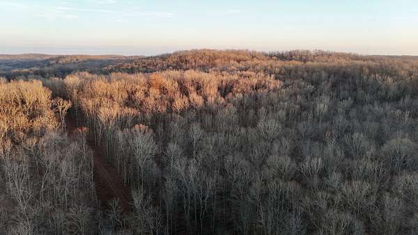 39.3 Acres of Land for Sale in Glen Allen, Missouri