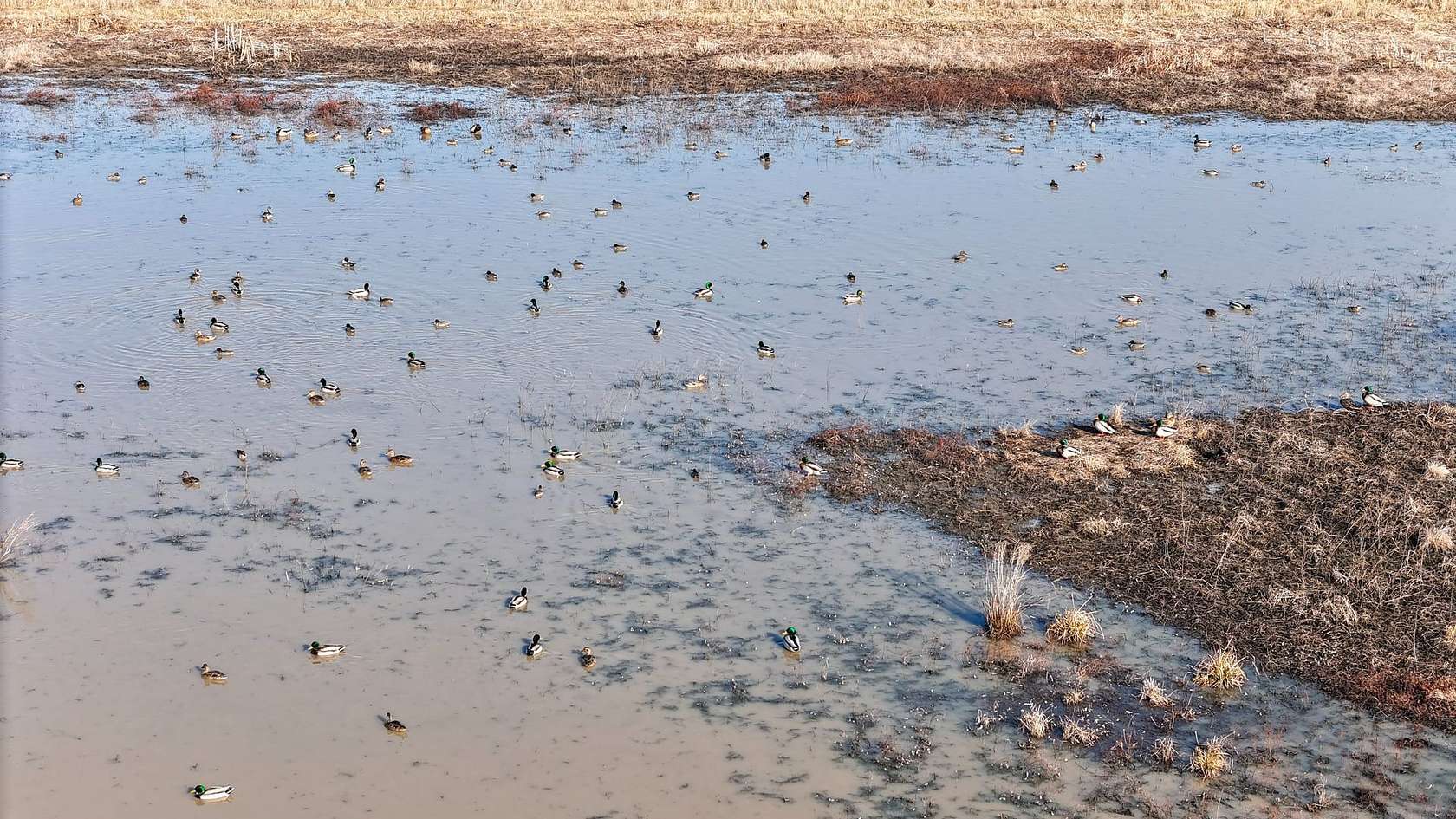 81 Acres of Recreational Land for Sale in Matthews, Missouri