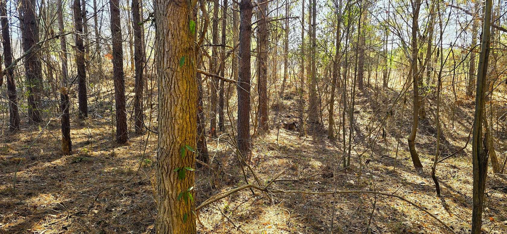 19.4 Acres of Land for Sale in Henderson, Tennessee