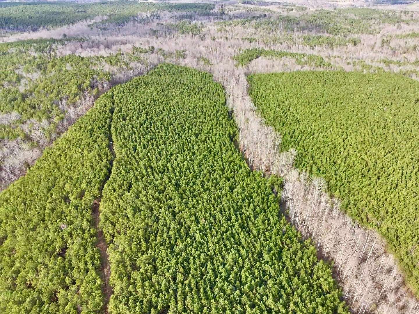 70 Acres of Recreational Land for Sale in Detroit, Alabama