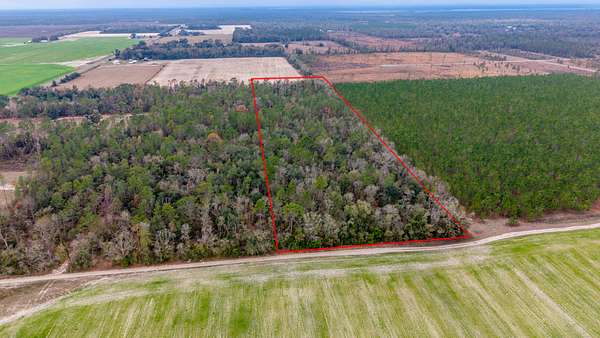 10 Acres of Land for Sale in Live Oak, Florida