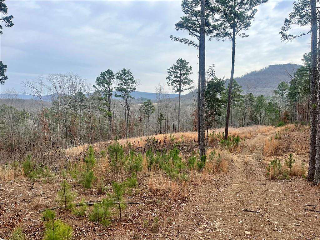 32.6 Acres of Land for Sale in Jasper, Arkansas