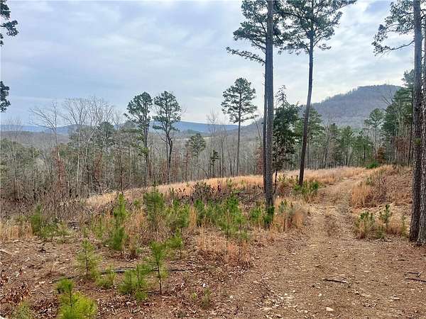 32.6 Acres of Land for Sale in Jasper, Arkansas