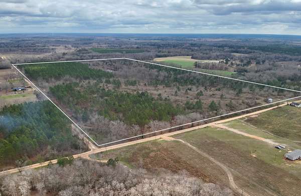 86 Acres of Land for Sale in Slocomb, Alabama