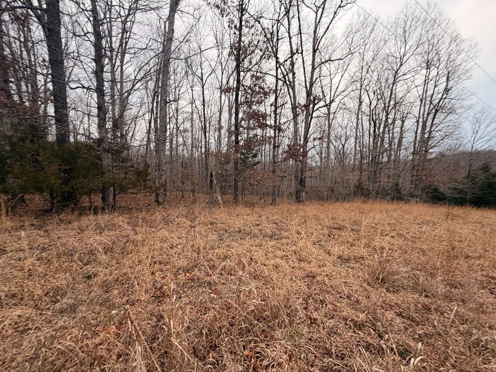 0.61 Acres of Residential Land for Sale in Nunnelly, Tennessee