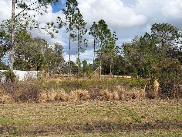 0.25 Acres of Residential Land for Sale in Poinciana, Florida