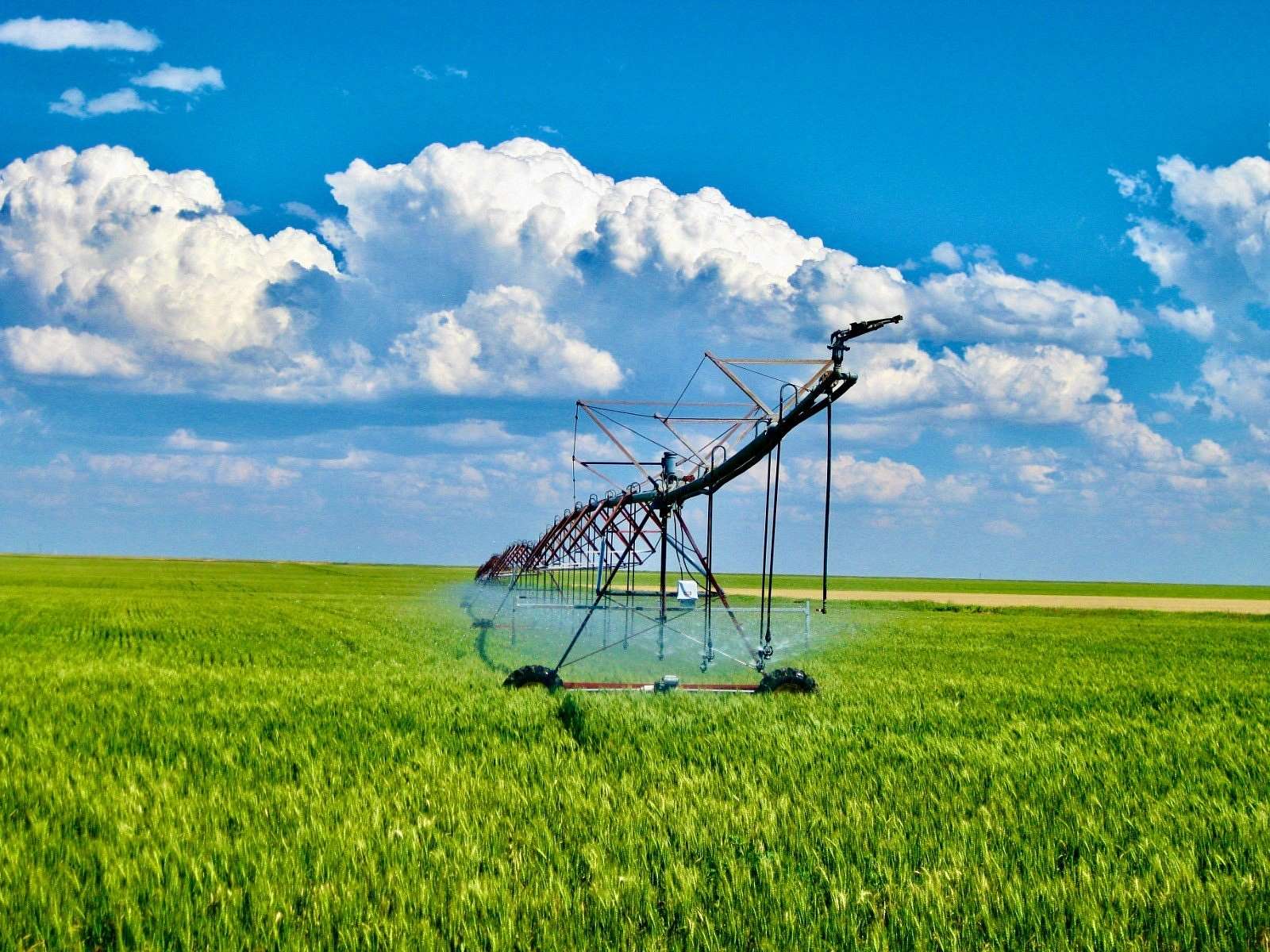 1,236 Acres of Land for Sale in Valier, Montana