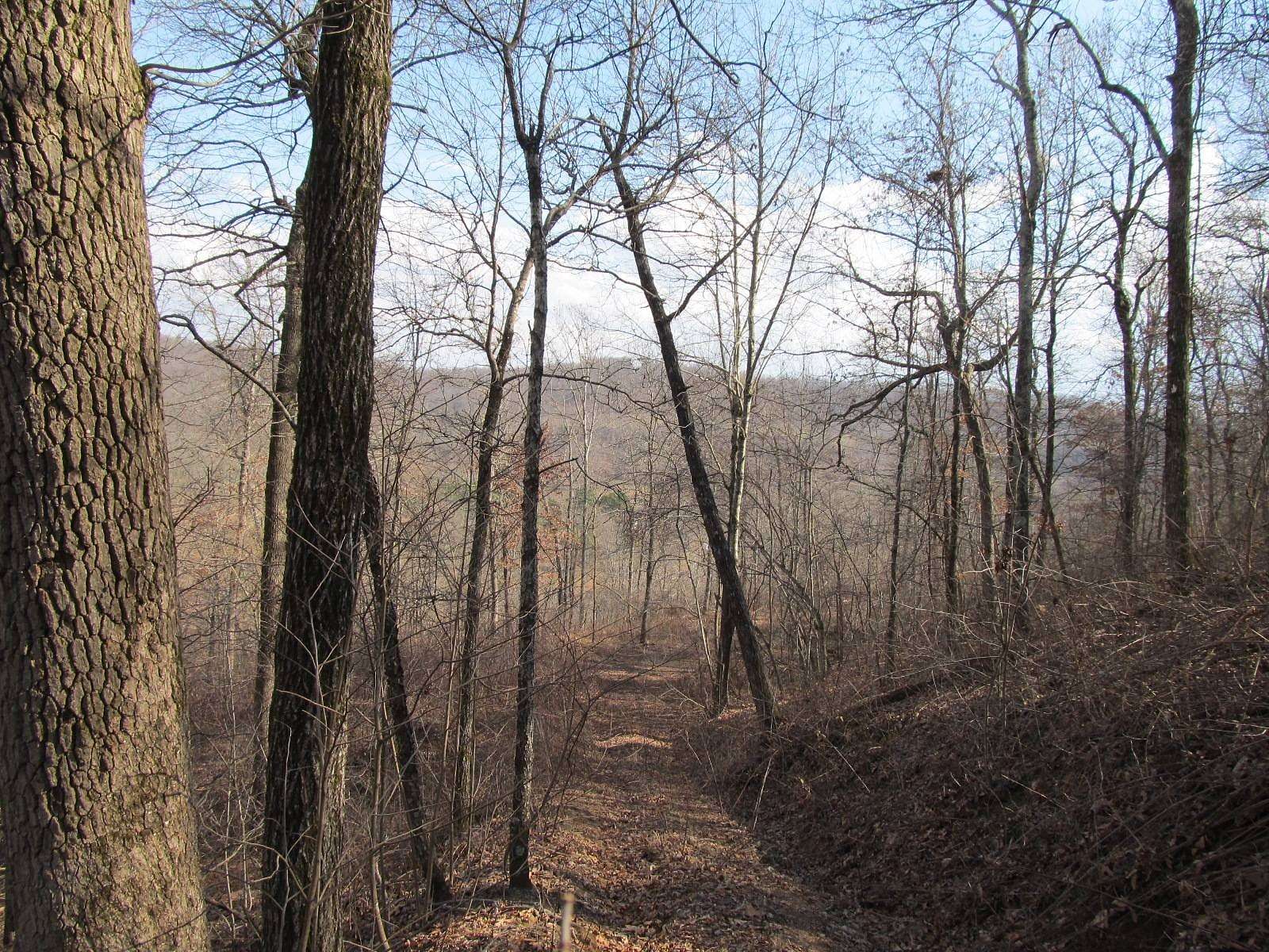 72 Acres of Recreational Land for Sale in Pettigrew, Arkansas