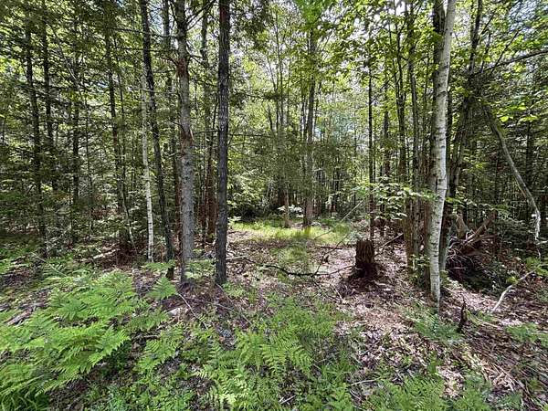 0.37 Acres of Land for Sale in Barnstead, New Hampshire