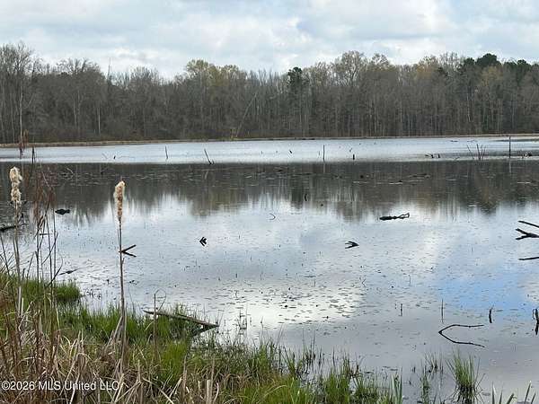 23 Acres of Recreational & Residential Land for Sale in Florence, Mississippi
