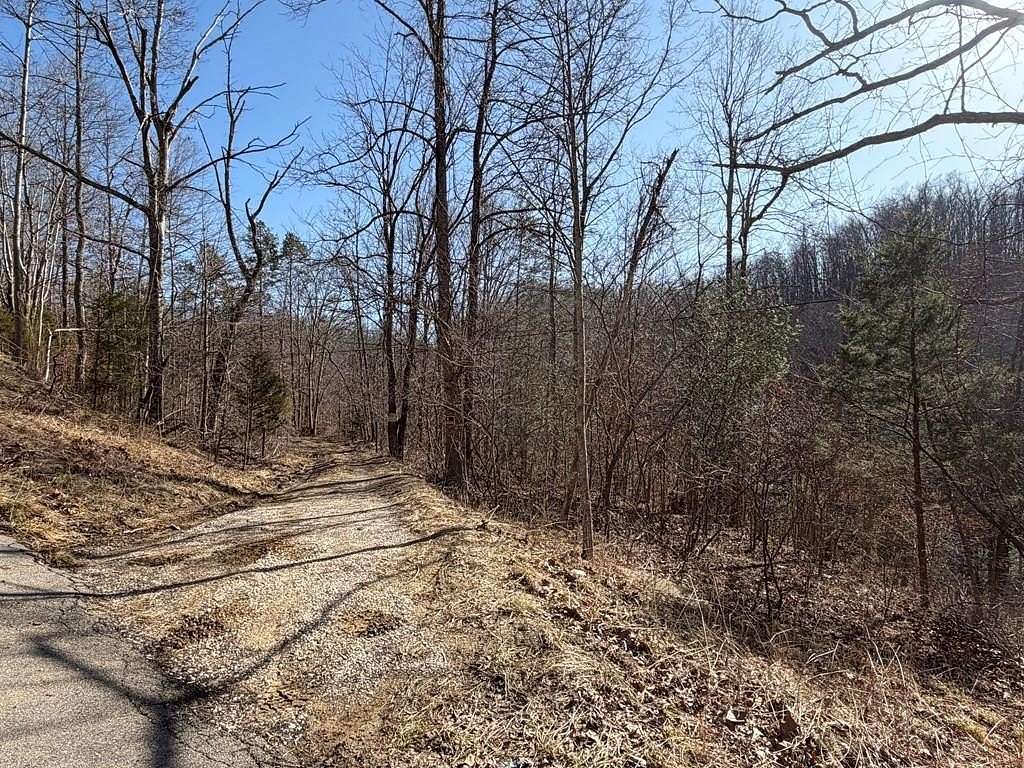 179 Acres of Recreational & Residential Land for Sale in Flatgap, Kentucky