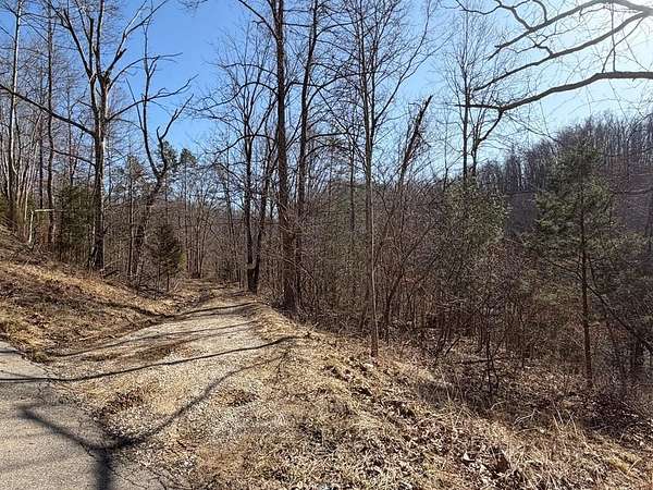 179 Acres of Recreational & Residential Land for Sale in Flatgap, Kentucky
