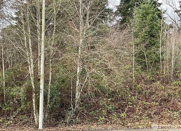 3 Acres of Residential Land for Sale in Tacoma, Washington