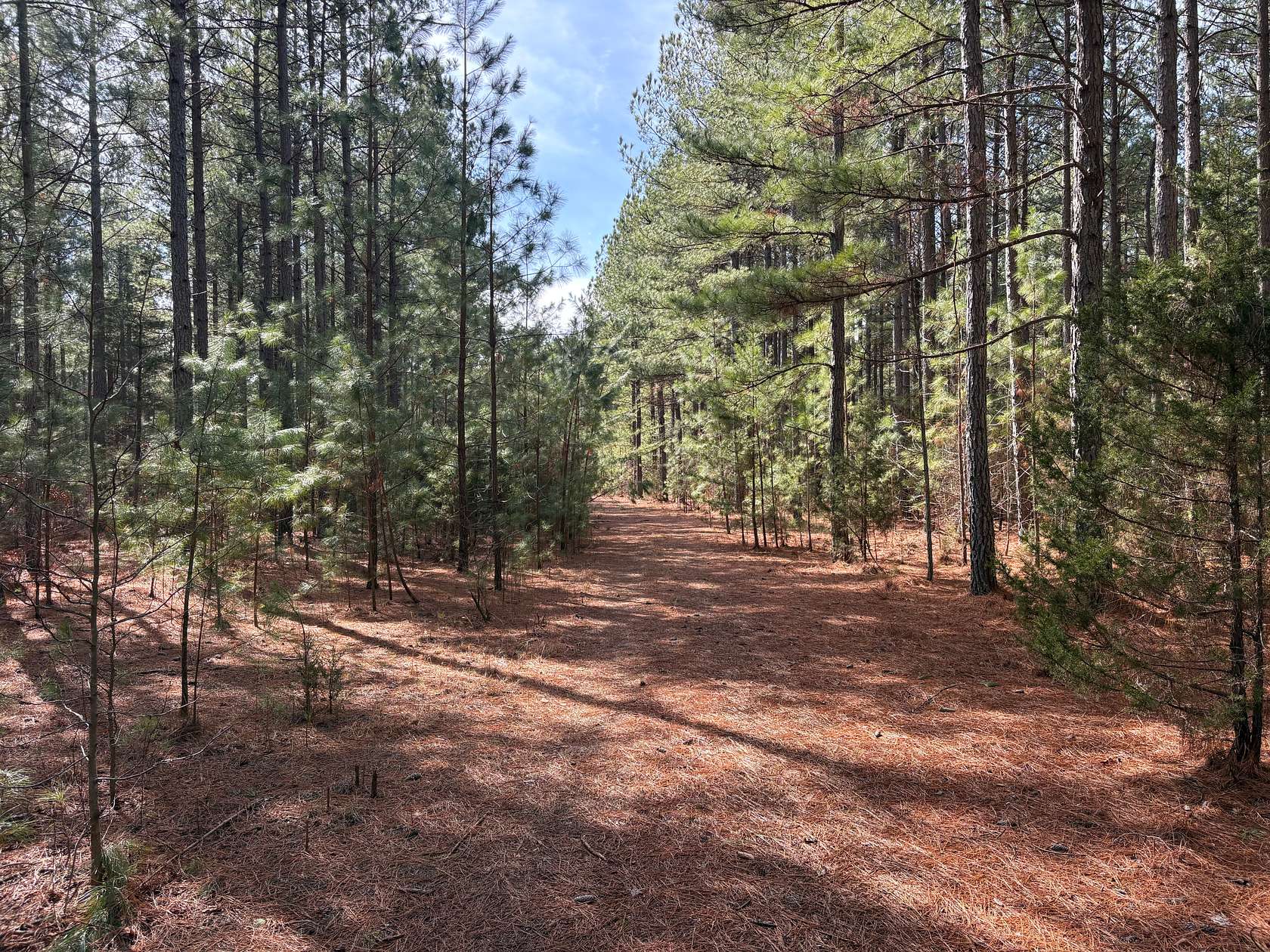 834 Acres of Recreational Land for Sale in Keysville, Virginia