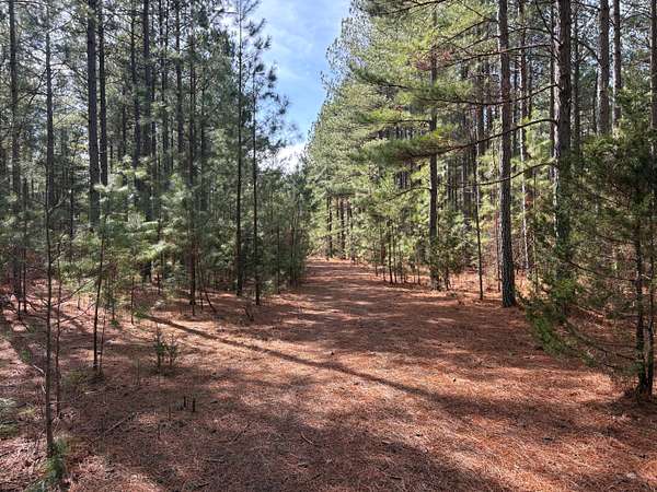 834 Acres of Recreational Land for Sale in Keysville, Virginia