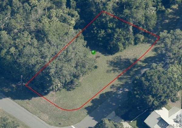 0.35 Acres of Residential Land for Sale in Homosassa, Florida