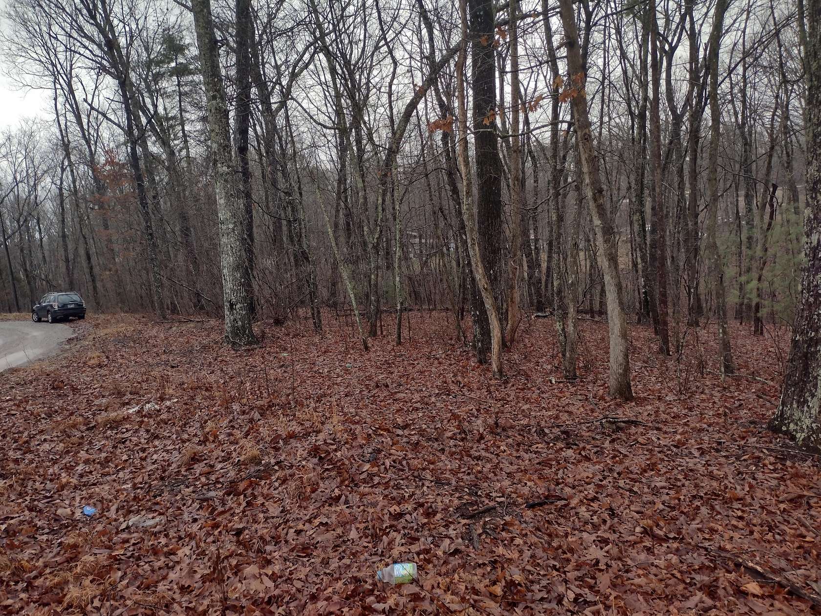 1 Acre of Land for Sale in Spring City, Tennessee