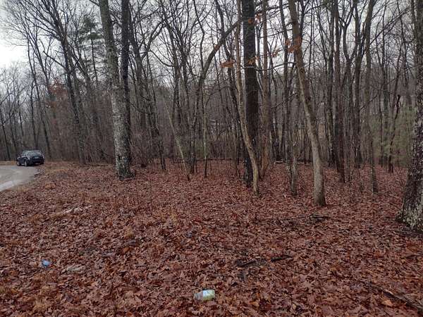 1 Acre of Land for Sale in Spring City, Tennessee