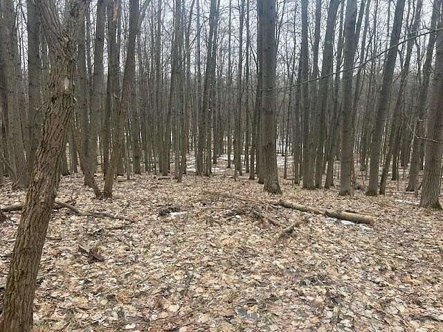 0.28 Acres of Land for Sale in Stanwood, Michigan