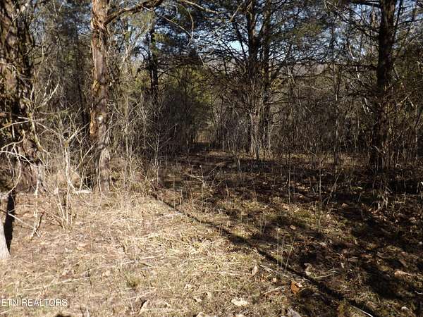 3.7 Acres of Residential Land for Sale in New Tazewell, Tennessee