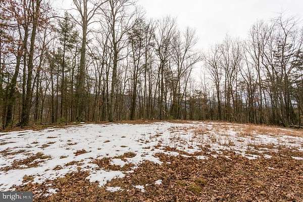 16.6 Acres of Recreational & Residential Land for Sale in Bergton, Virginia