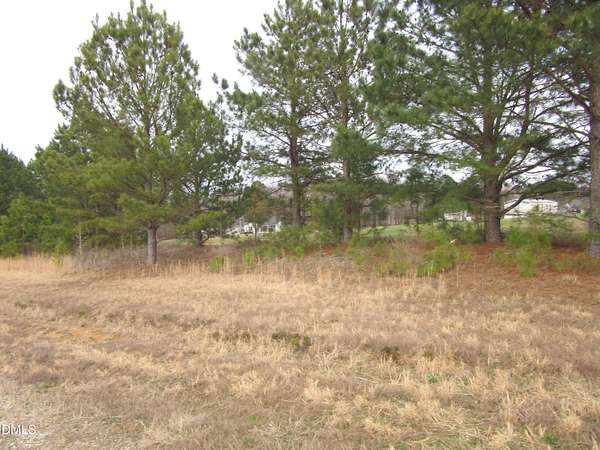 1.19 Acres of Residential Land for Sale in Zebulon, North Carolina