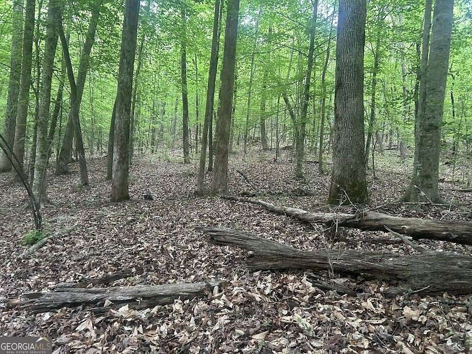 13.8 Acres of Land for Sale in Carrollton, Georgia