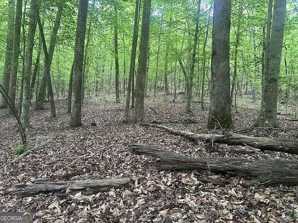 13.8 Acres of Land for Sale in Carrollton, Georgia