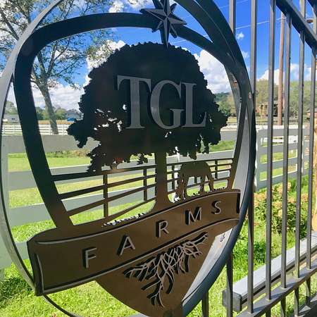 15.3 Acres of Land with Home for Sale in Hendersonville, Tennessee