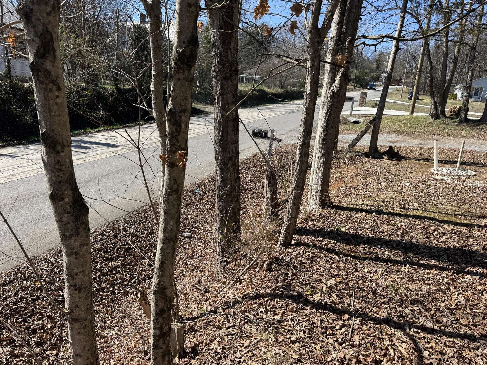 0.46 Acres of Residential Land for Sale in Charleston, Tennessee