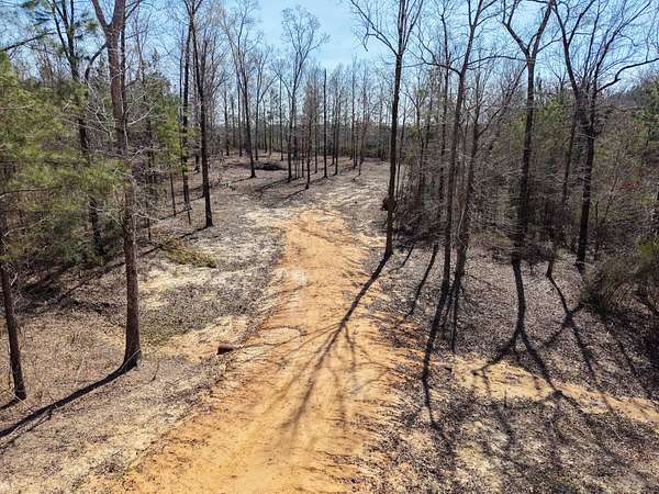 15 Acres of Land for Sale in Grayson, Louisiana