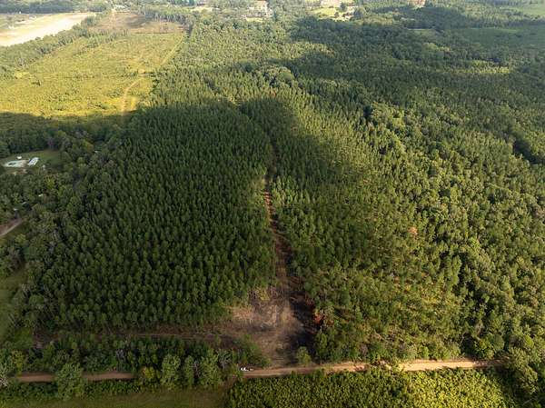 15 Acres of Land for Sale in Brandon, Mississippi