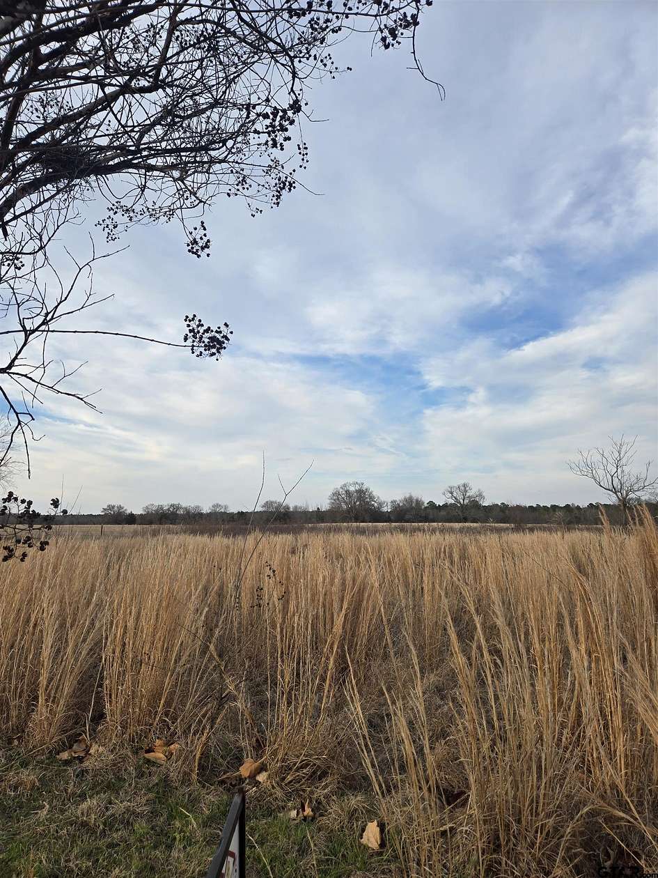 0.5 Acres of Residential Land for Sale in Winnsboro, Texas