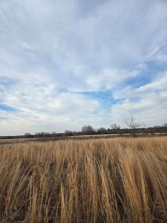 0.5 Acres of Residential Land for Sale in Winnsboro, Texas