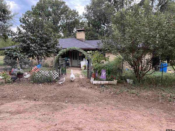 19.8 Acres of Land with Home for Sale in Ben Wheeler, Texas