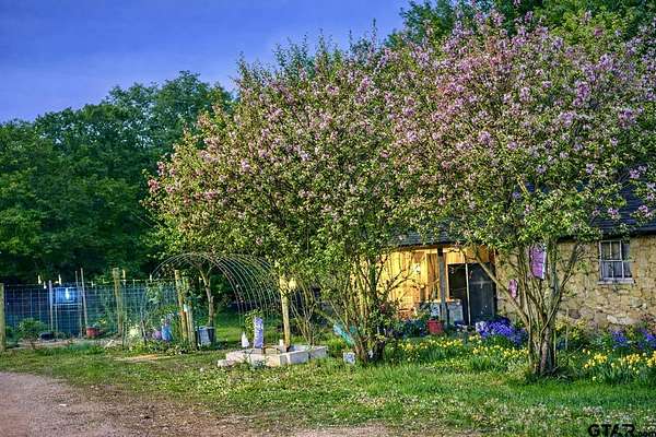 19.8 Acres of Land with Home for Sale in Ben Wheeler, Texas