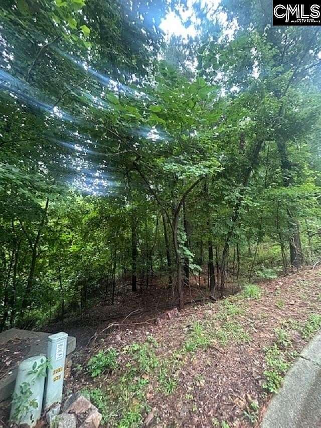 0.29 Acres of Residential Land for Sale in Lexington, South Carolina