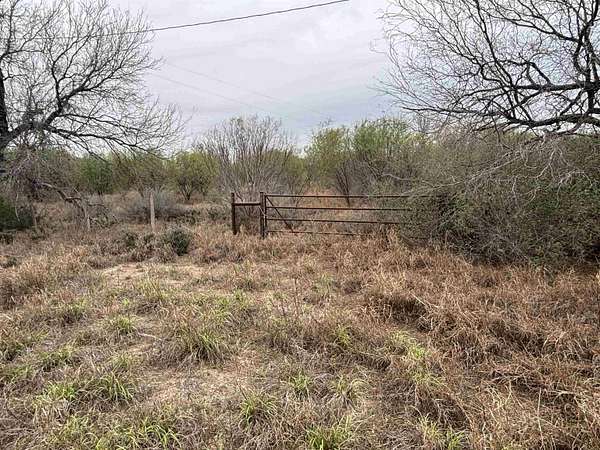 45.4 Acres of Recreational & Residential Land for Sale in San Ygnacio, Texas