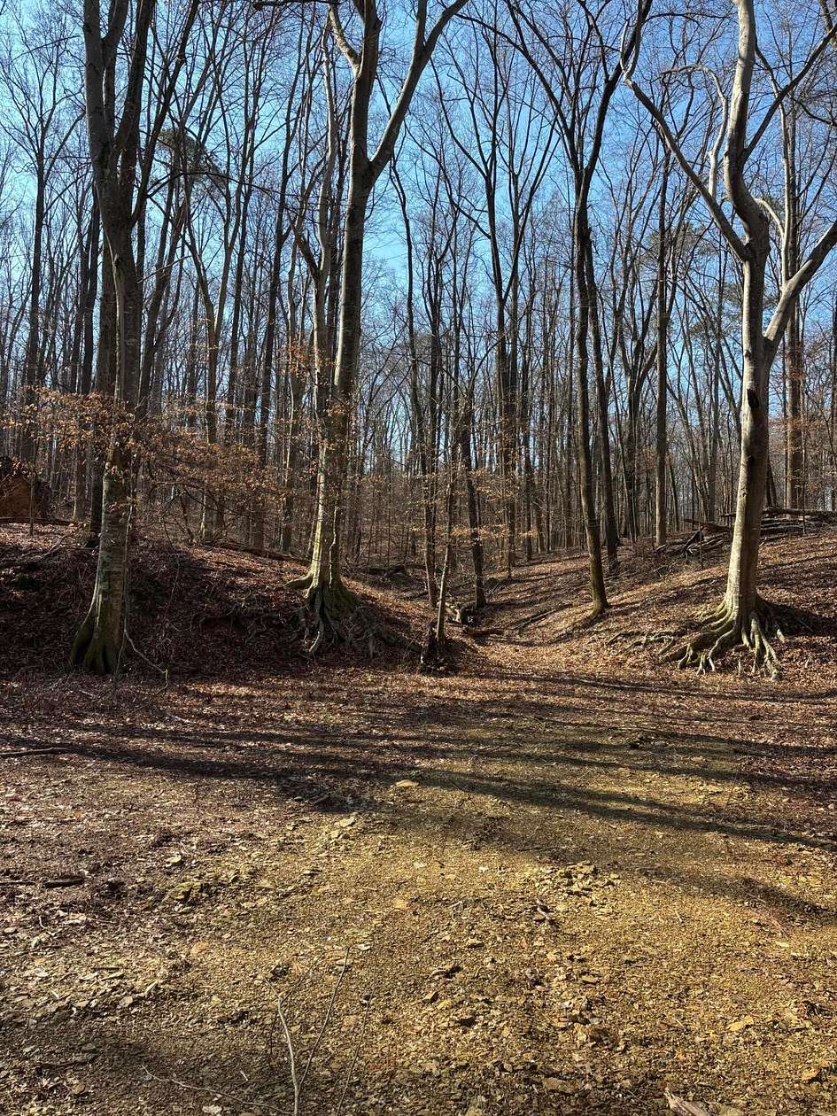 14.4 Acres of Land for Sale in Cleveland, Tennessee