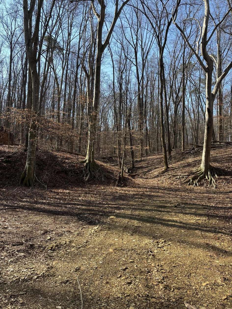 14.4 Acres of Land for Sale in Cleveland, Tennessee