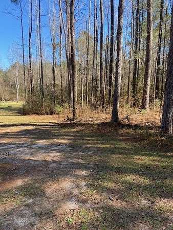 15.3 Acres of Land for Sale in Sumrall, Mississippi