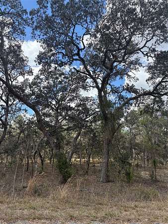 1 Acre of Residential Land for Sale in Dunnellon, Florida