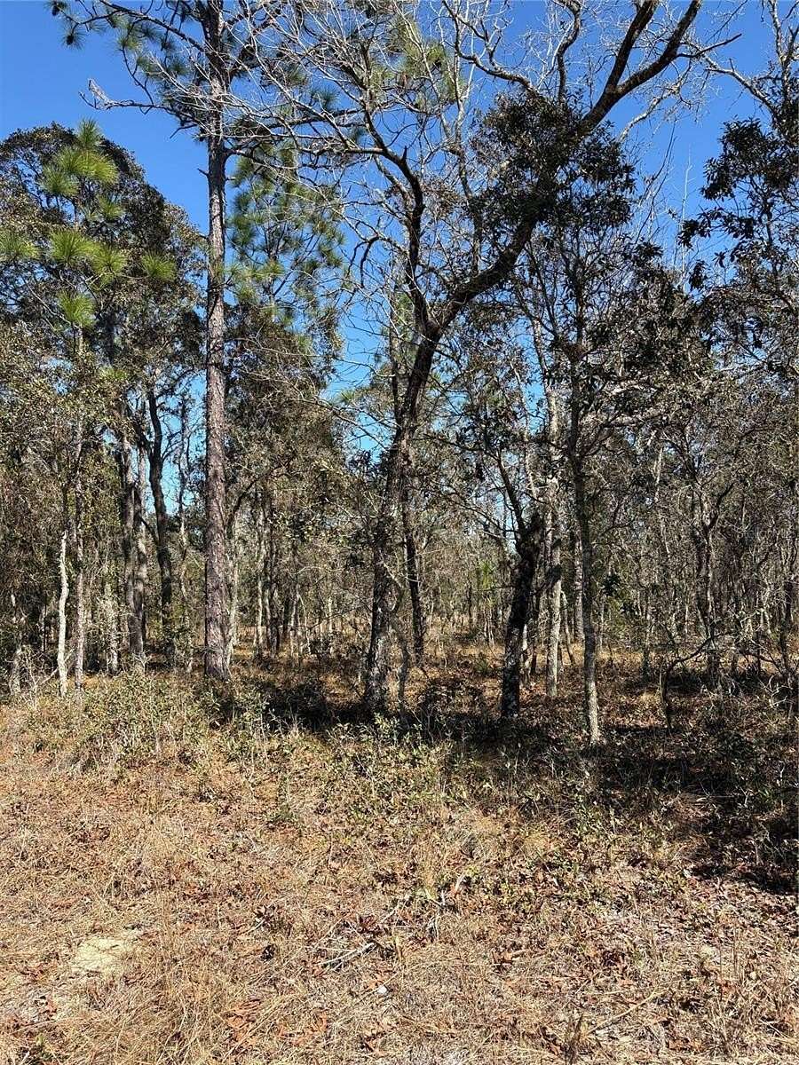 0.25 Acres of Residential Land for Sale in Dunnellon, Florida