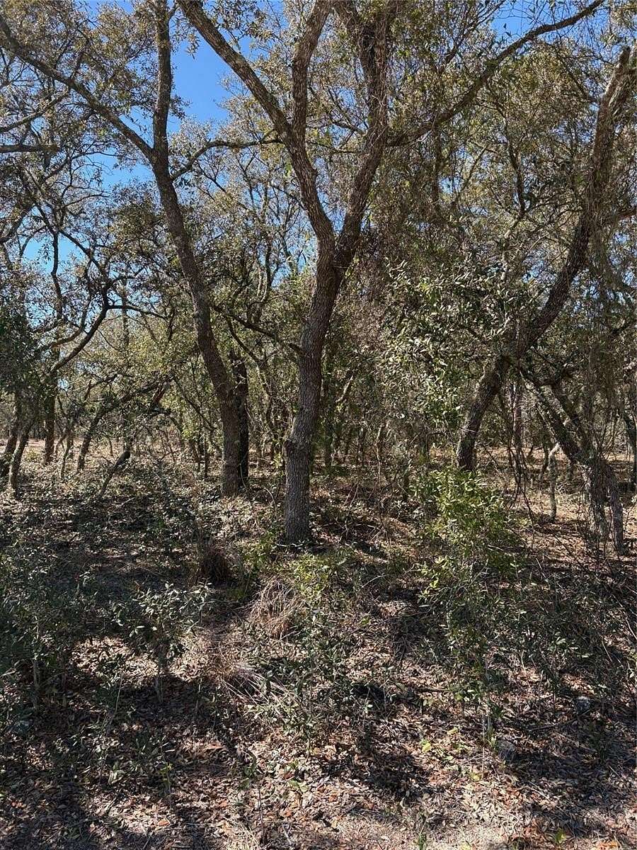 0.25 Acres of Residential Land for Sale in Dunnellon, Florida