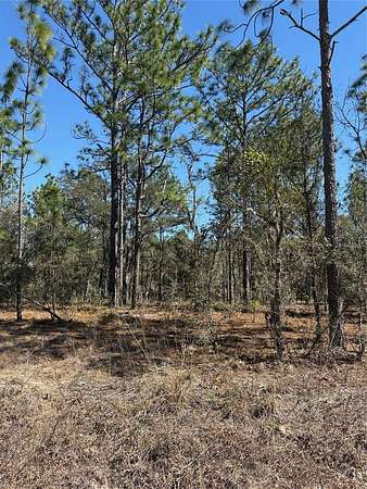0.25 Acres of Residential Land for Sale in Dunnellon, Florida