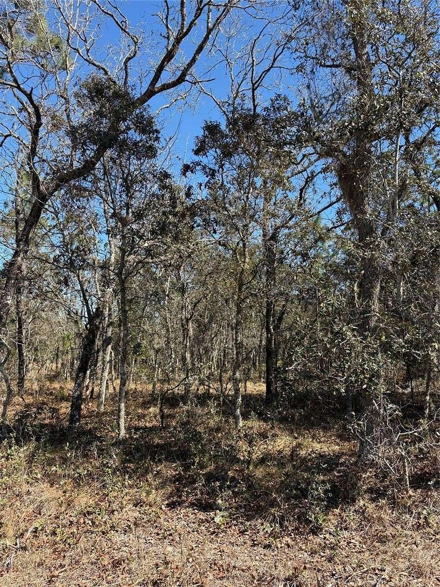 0.25 Acres of Residential Land for Sale in Dunnellon, Florida