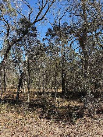 0.25 Acres of Residential Land for Sale in Dunnellon, Florida