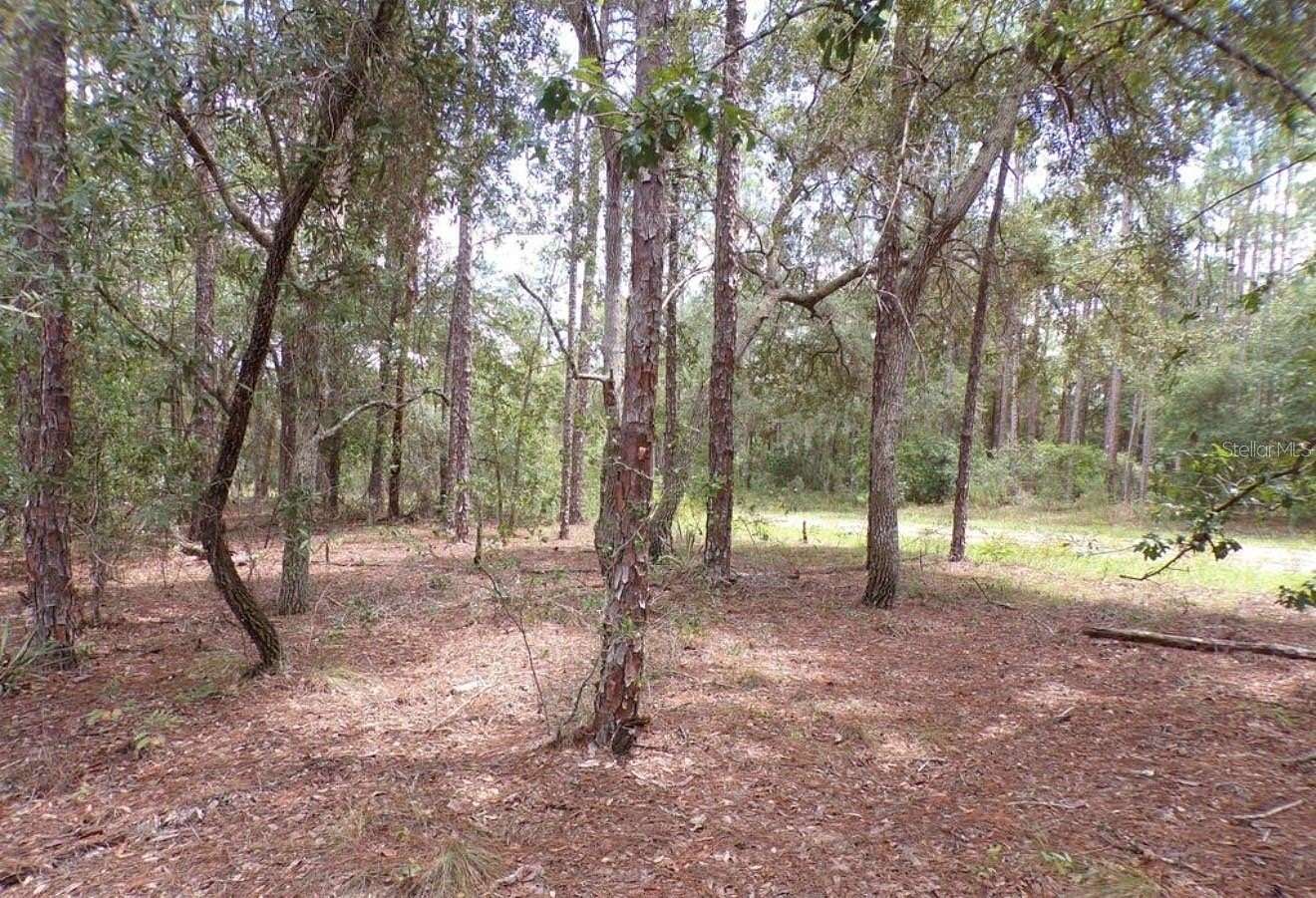 0.23 Acres of Residential Land for Sale in Dunnellon, Florida